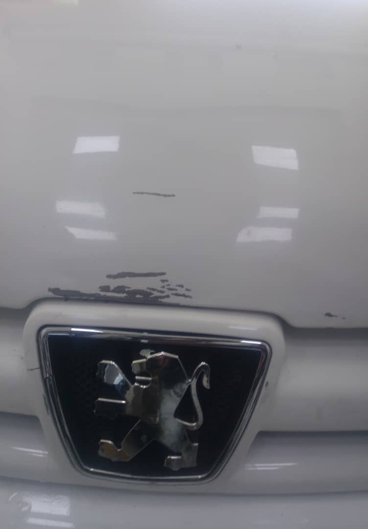 قبل و بعد کاپوت پرشیا